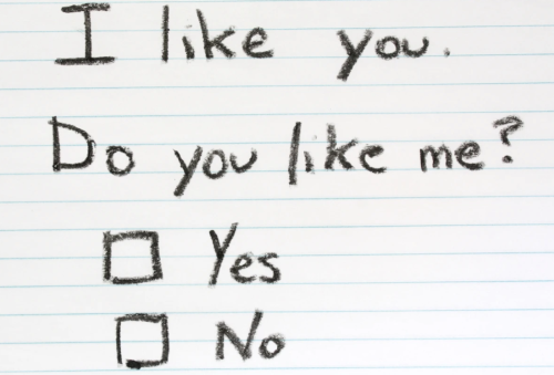 Like this? (Circle yes or no)